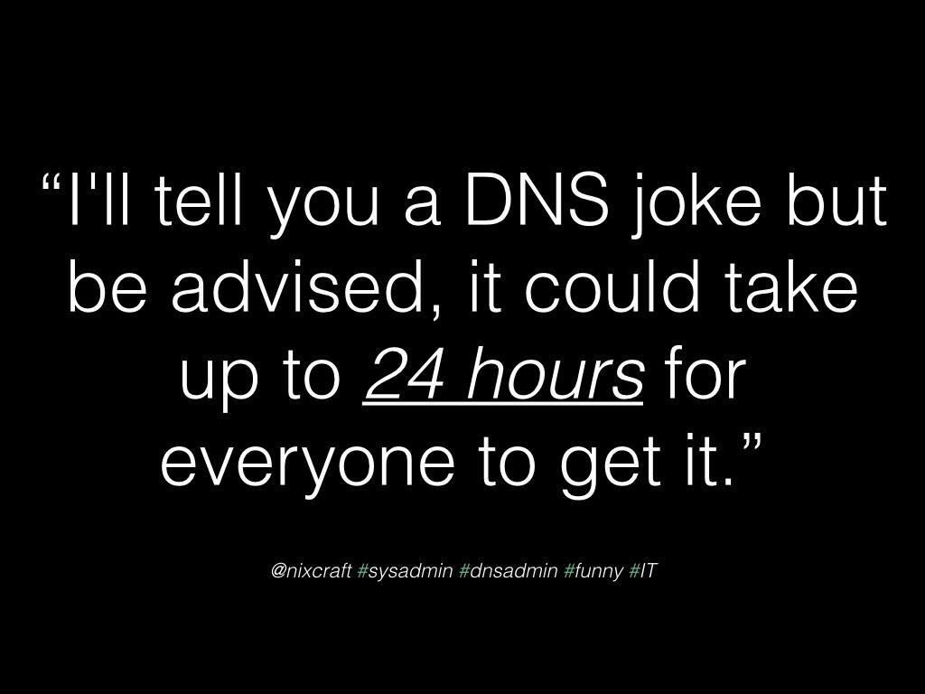 An image with the caption: "I'll tell you a DNS joke but be advised, it could take up to 24 hours for everyone to get it."